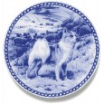 Iceland Sheepdog
